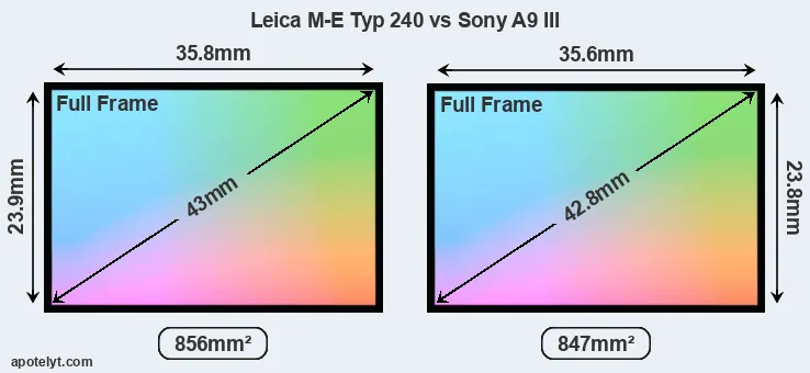 Leica M-E Typ 240 and Sony A9 III sensor measures