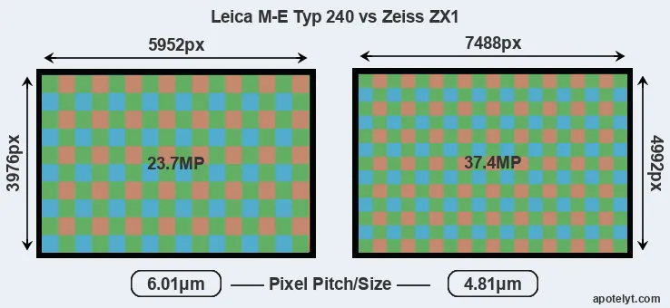 M-E Typ 240 versus ZX1 MP