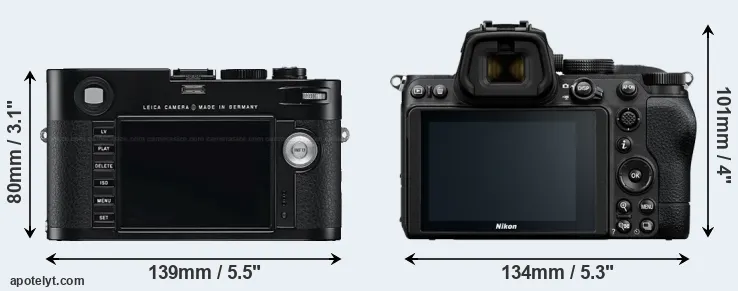 Comparison M Typ 240 or Z5 rear