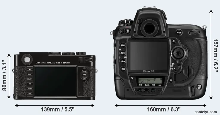 Comparison M Typ 262 or D3 rear
