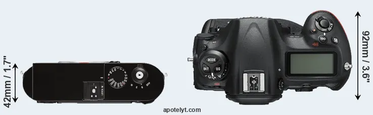 Compare M Typ 262 versus D5 top