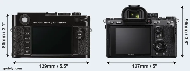 Comparison M Typ 262 or A7 III rear