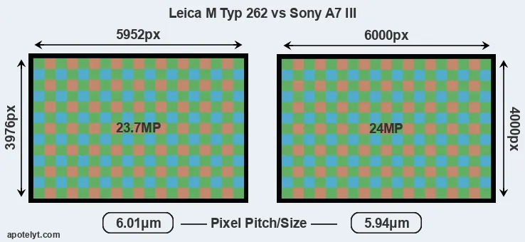 M Typ 262 versus A7 III MP
