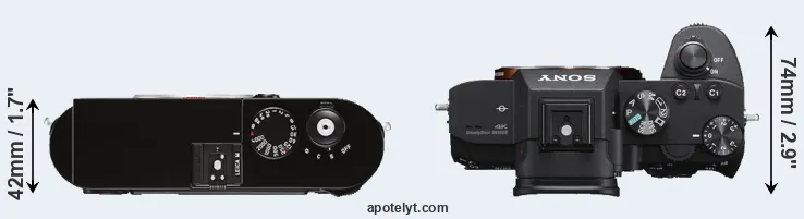 Compare M Typ 262 versus A7 III top