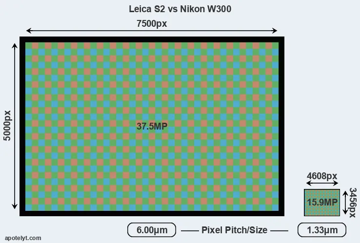 S2 versus W300 MP