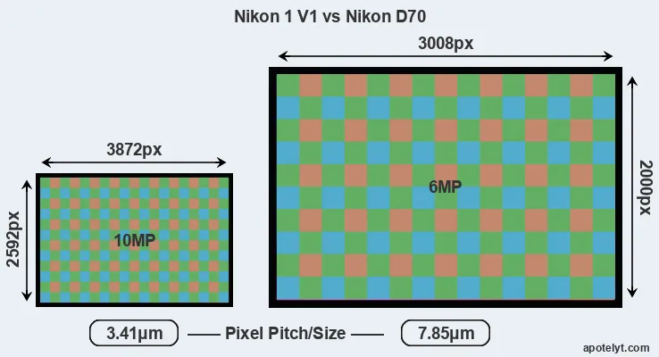 V1 versus D70 MP