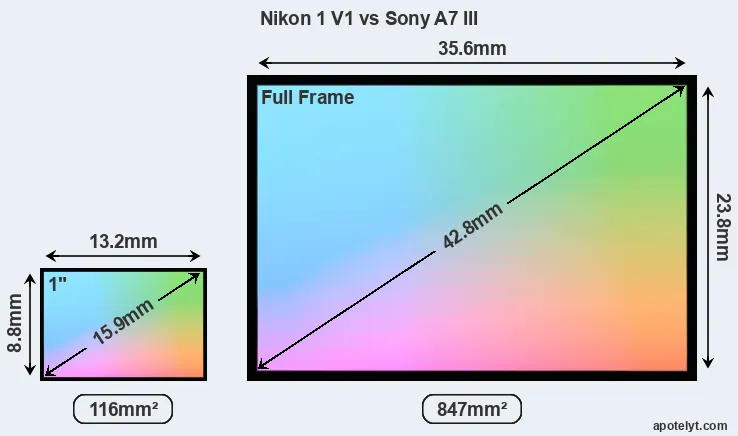 Nikon 1 V1 and Sony A7 III sensor measures