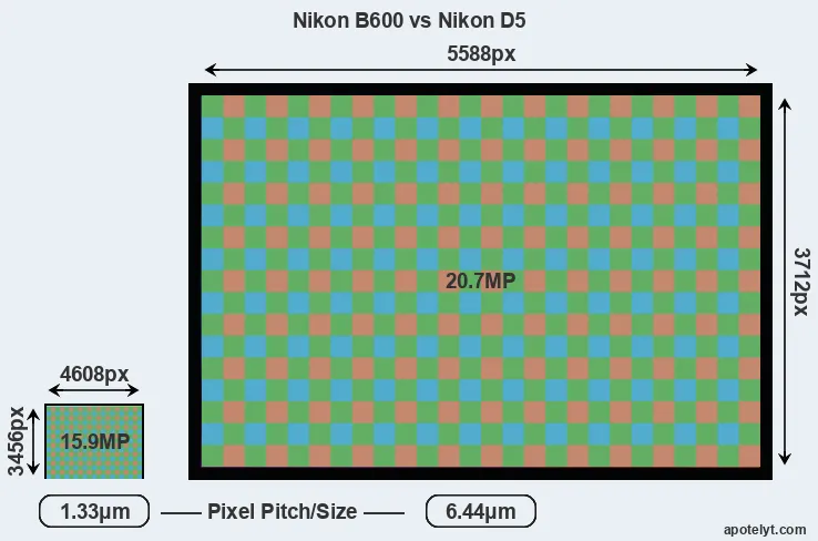 B600 versus D5 MP