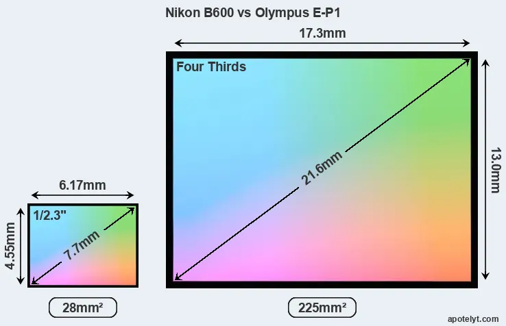 Nikon B600 and Olympus E-P1 sensor measures