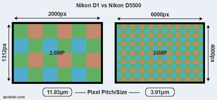 D1 versus D5500 MP