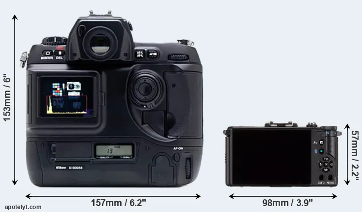 Comparison D1X or Pentax Q rear