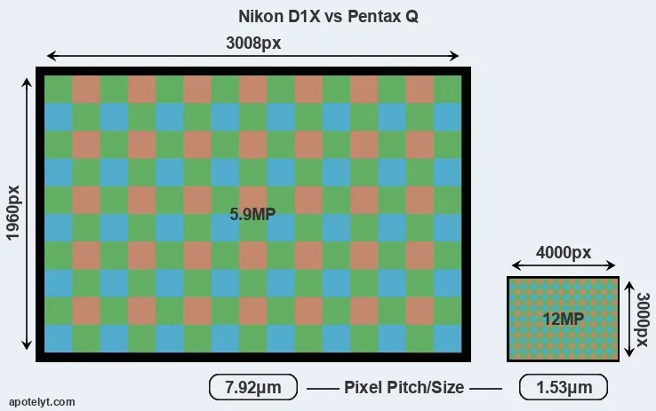 D1X versus Pentax Q MP