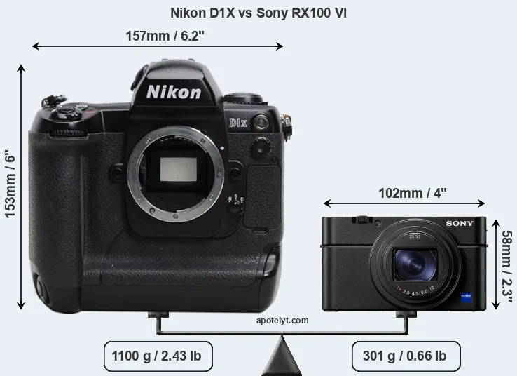 Size Nikon D1X vs Sony RX100 VI