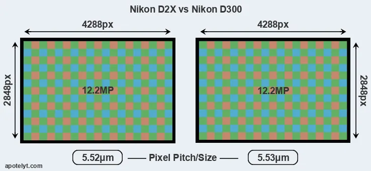 D2X versus D300 MP