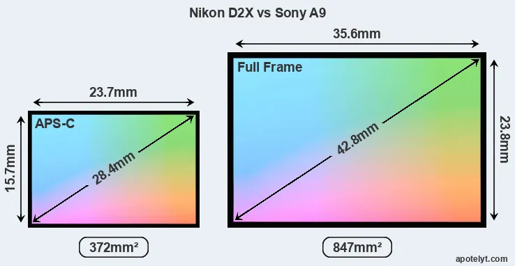 Nikon D2X and Sony A9 sensor measures