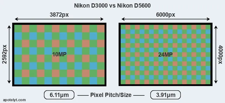 D3000 versus D5600 MP