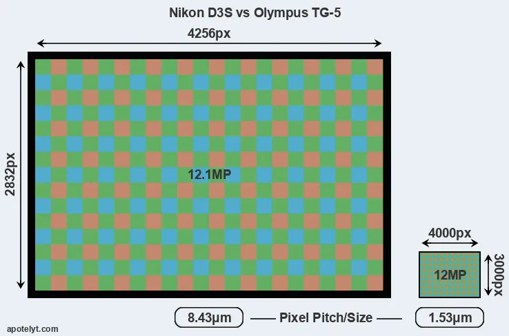 D3S versus TG-5 MP