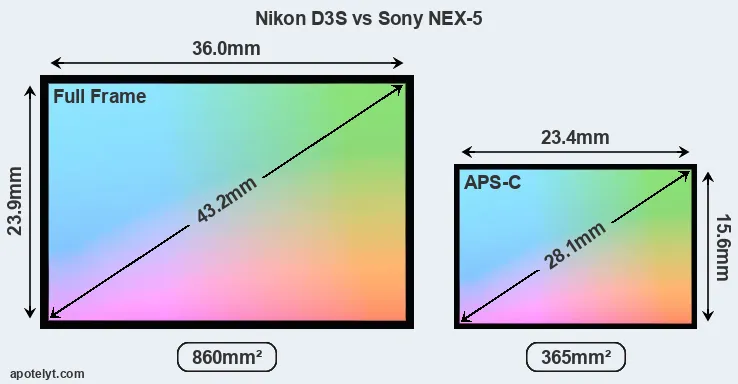 Nikon D3S and Sony NEX-5 sensor measures