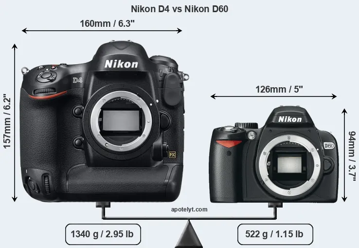 Size Nikon D4 vs Nikon D60
