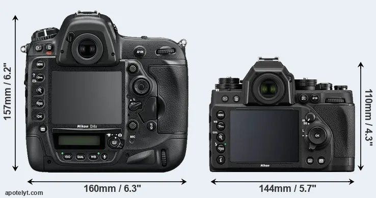 Comparison D4S or Df rear