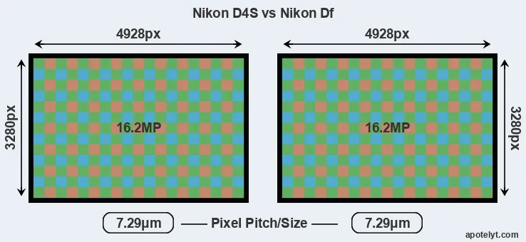 D4S versus Df MP