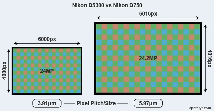 D5300 versus D750 MP