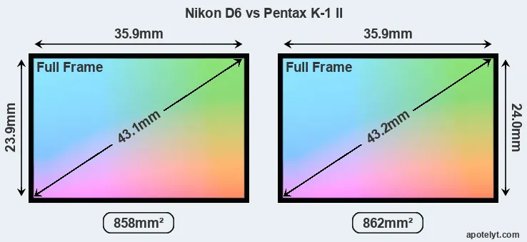 Nikon D6 and Pentax K-1 II sensor measures