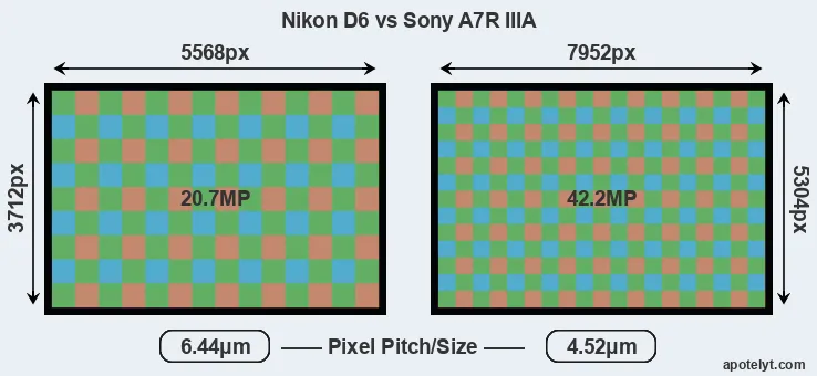 D6 versus A7R IIIA MP