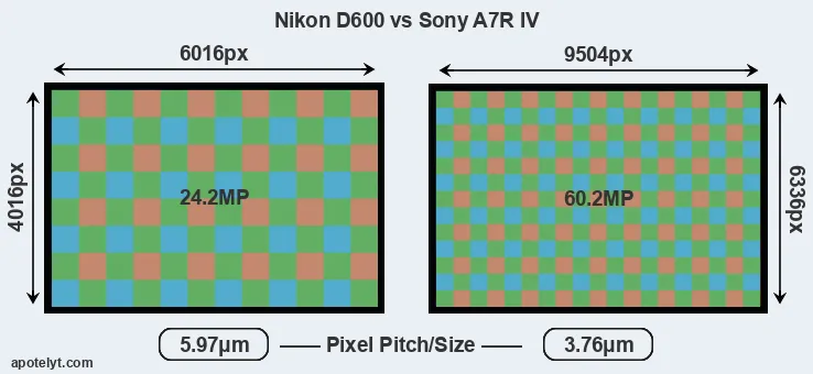 D600 versus A7R IV MP
