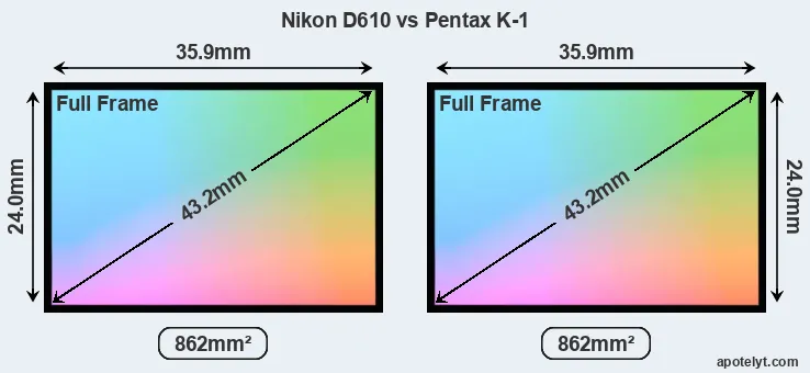 Nikon D610 and Pentax K-1 sensor measures