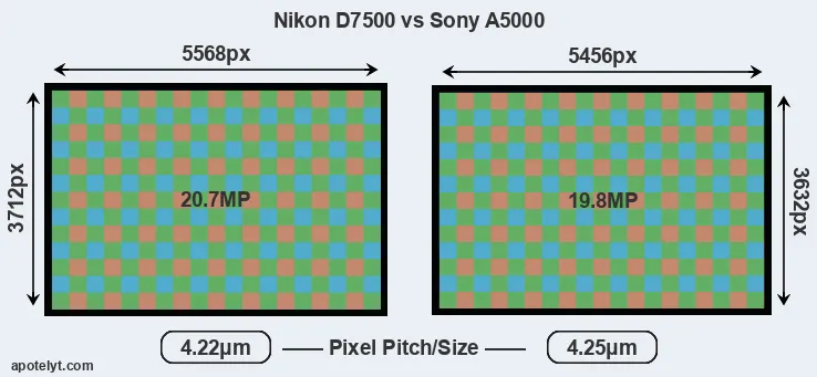 D7500 versus A5000 MP