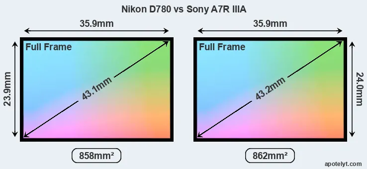 Nikon D780 and Sony A7R IIIA sensor measures