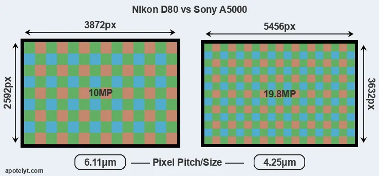 D80 versus A5000 MP