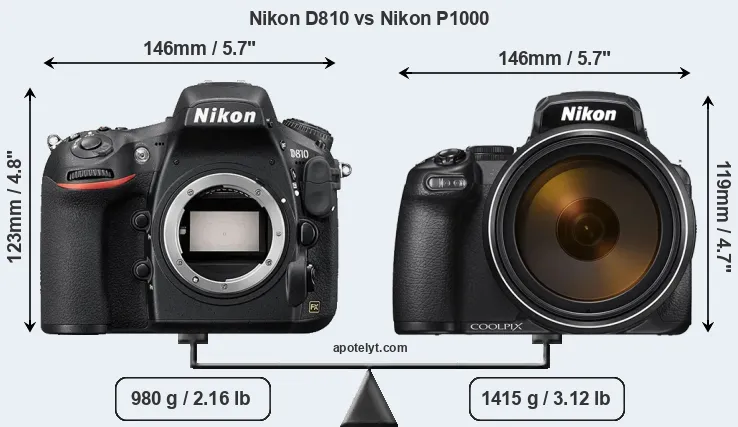 Size Nikon D810 vs Nikon P1000