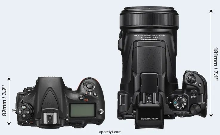 Compare D810 versus P1000 top
