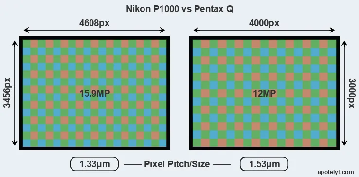 P1000 versus Pentax Q MP
