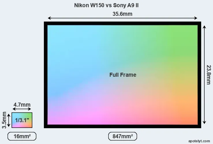 Nikon W150 and Sony A9 II sensor measures