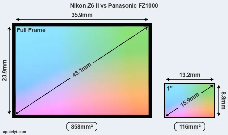 Nikon Z6 II and Panasonic FZ1000 sensor measures
