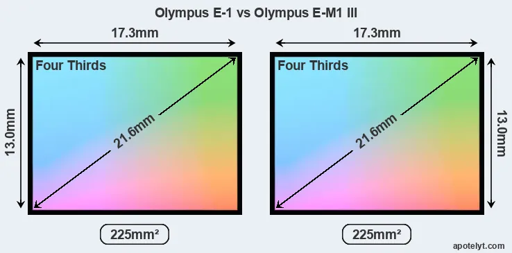 Olympus E-1 and Olympus E-M1 III sensor measures