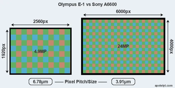 E-1 versus A6600 MP