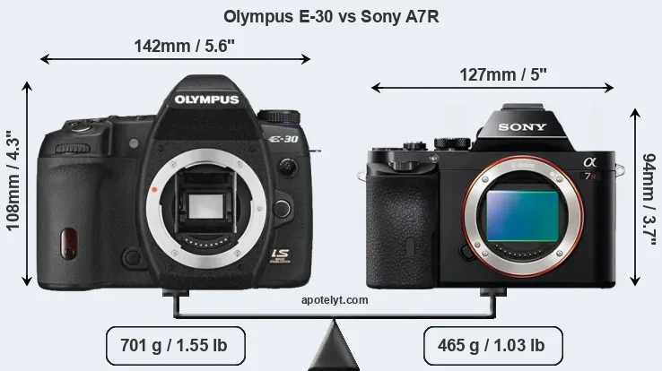 Size Olympus E-30 vs Sony A7R