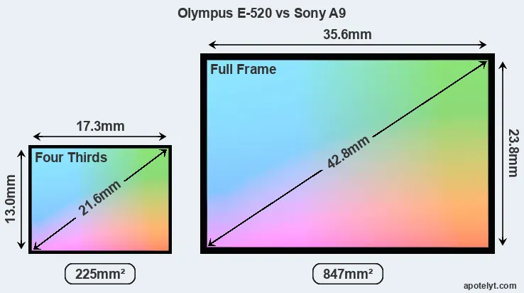 Olympus E-520 and Sony A9 sensor measures