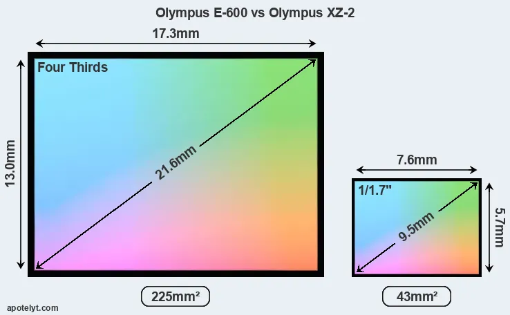 Olympus E-600 and Olympus XZ-2 sensor measures