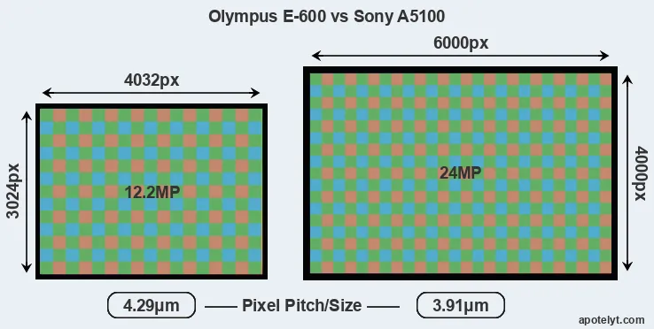 E-600 versus A5100 MP