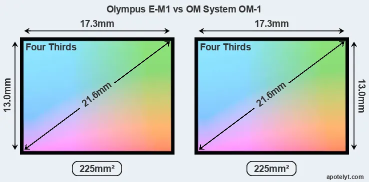 Olympus E-M1 and OM System OM-1 sensor measures