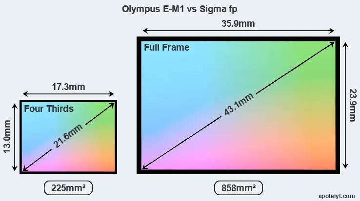 Olympus E-M1 and Sigma fp sensor measures