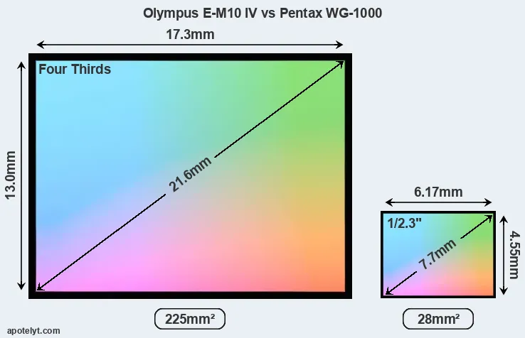 Olympus E-M10 IV and Pentax WG-1000 sensor measures