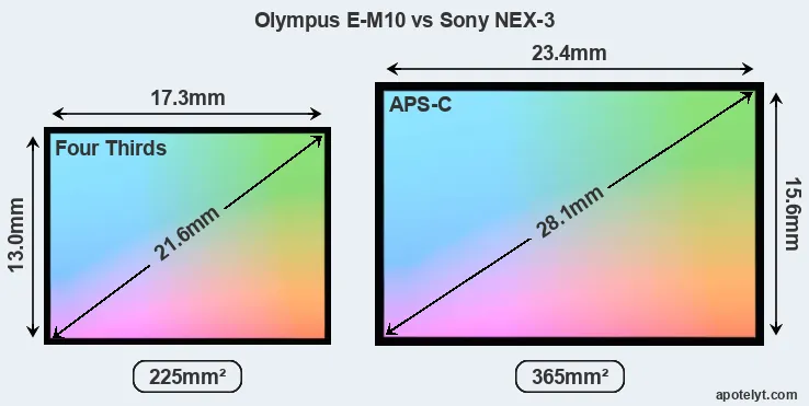 Olympus E-M10 and Sony NEX-3 sensor measures