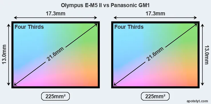 Olympus E-M5 II and Panasonic GM1 sensor measures