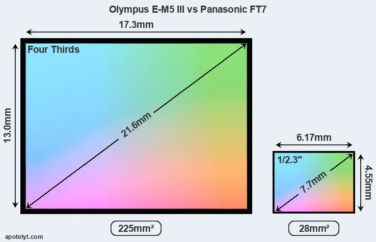Olympus E-M5 III and Panasonic FT7 sensor measures